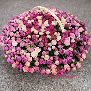 Сладкая симфония